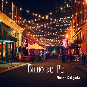 收聽Bicho de Pé的Cadê o Sanfoneiro/ Côco do Norte/ Côco do M歌詞歌曲