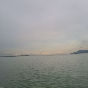 Listen to 西湖等你 song with lyrics from 兔子