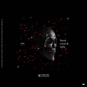 Listen to King (Explicit) song with lyrics from Trill Xoe