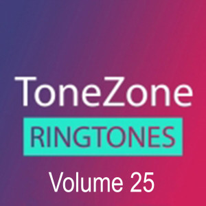 ToneZone Volume 25