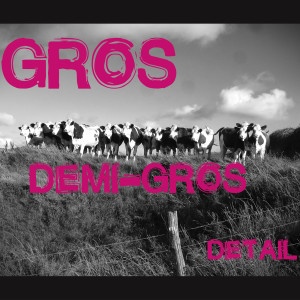Listen to Débiteur song with lyrics from Gros