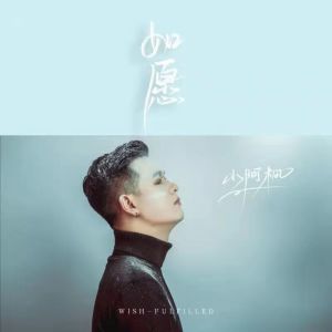 小阿枫的专辑如愿