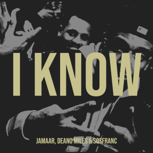 Listen to I Know (Explicit) song with lyrics from Jamaar