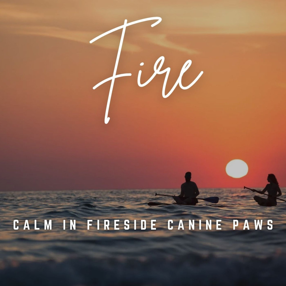 Fireside Canine Tranquility