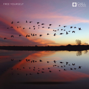 收聽Chill Cole的Free Yourself歌詞歌曲