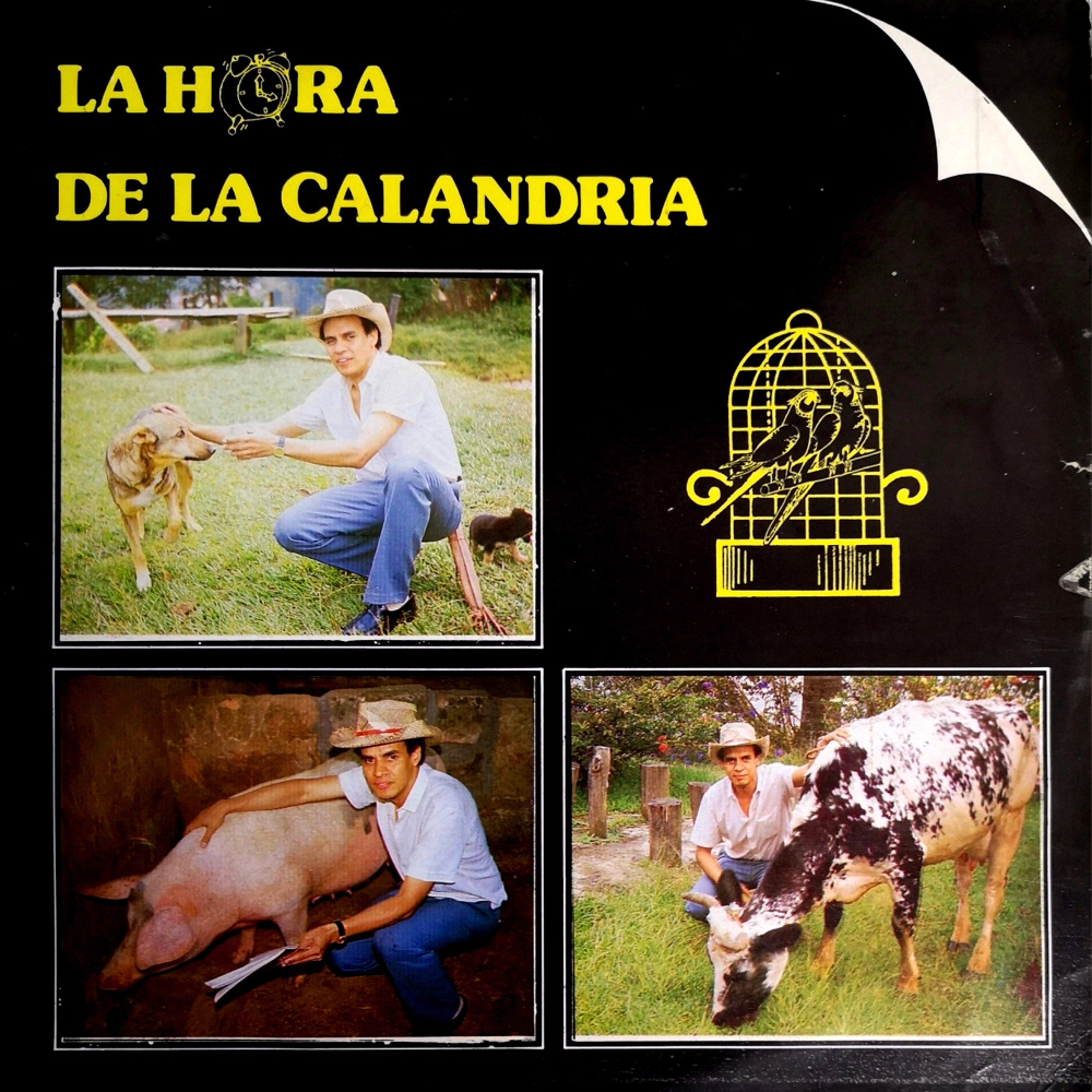 Monedita Sin Valor