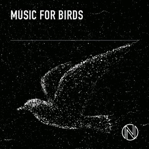 อัลบัม Music for Birds ศิลปิน Alexander Gray