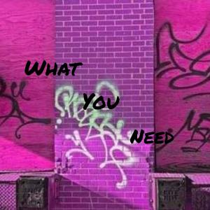 Bleek的專輯What You Need (Explicit)