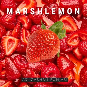收听Marshlemon的Asi Gabhru Punjabi歌词歌曲
