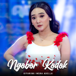 收聽Difarina Indra Adella的Ngobor Kodok歌詞歌曲