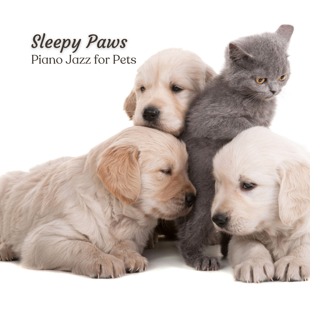Restful Pet Piano
