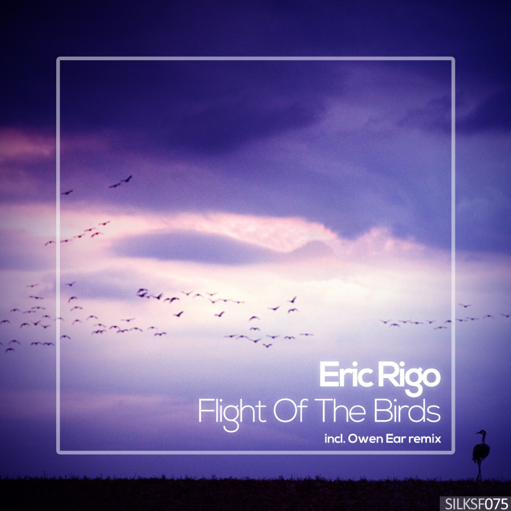 Flight Of The Birds (Owen Ear Remix)