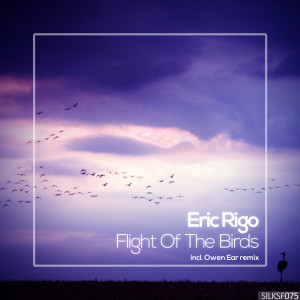 Album Flight of the Birds from Eric Rigo