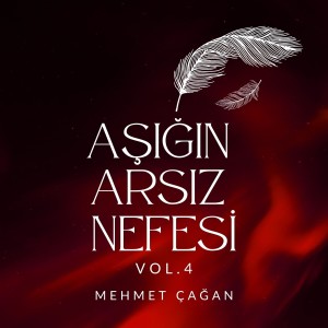 ดาวน์โหลดและฟังเพลง Nohut Musun? Fasülye Mi? İncir Mi? พร้อมเนื้อเพลงจาก Mehmet Çağan