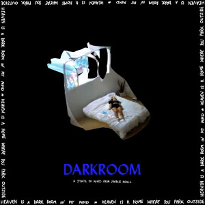 Janelle Kroll 的專輯darkroom