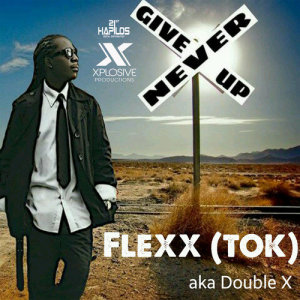 ดาวน์โหลดและฟังเพลง Never Give Up พร้อมเนื้อเพลงจาก Double X
