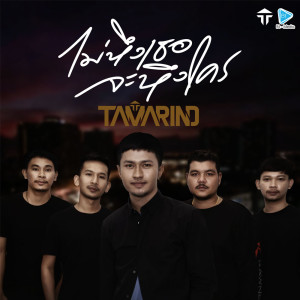 Album ไม่หึงเธอจะหึงใคร from วงแทมมะริน