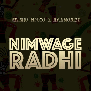 Mrisho Mpoto的專輯Nimwage Radhi