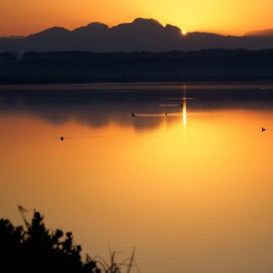 ดาวน์โหลดและฟังเพลง Sleep Hypnosis พร้อมเนื้อเพลงจาก Harold