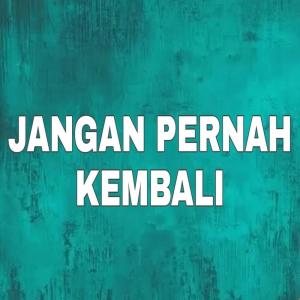 Listen to Jangan Pernah Kembali song with lyrics from Farel Alfara