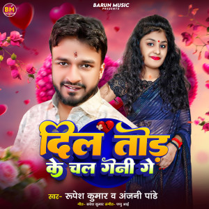 Listen to Dil Tod Ke Chal Geni Ge song with lyrics from Rupesh Kumar