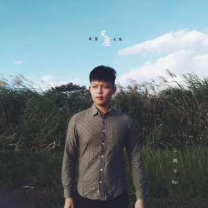 Album 跌落凡尘之后 from 王凯平