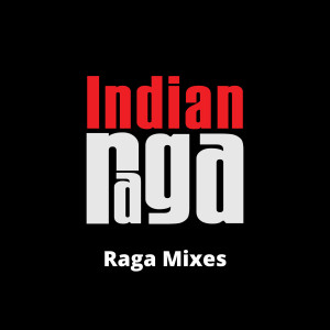 收听Indianraga的Shape of You (Carnatic Mix)歌词歌曲