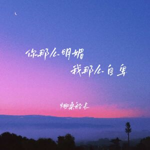 Album 你那么明媚我那么自卑 from 烟嗓船长