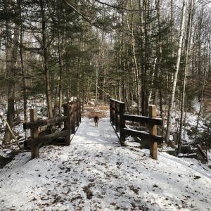 Robinhood的專輯A Greater Gift