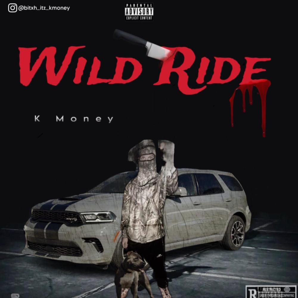 Wild Ride (Explicit)