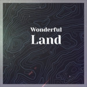 Listen to Wonderful Land song with lyrics from The Shadows