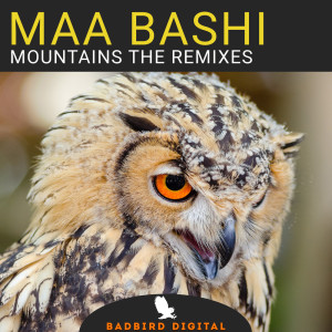 Maa Bashi的專輯Mountains The Remixes