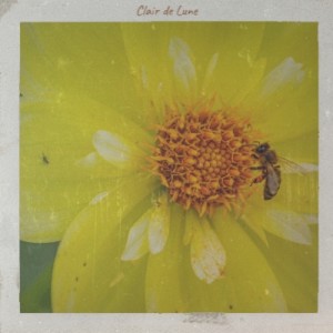 Listen to Clair De Lune song with lyrics from Bill Snyder