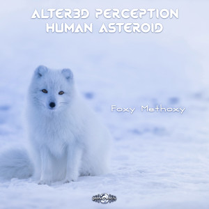 Dengarkan lagu Foxy Methoxy nyanyian Alter3d Perception dengan lirik
