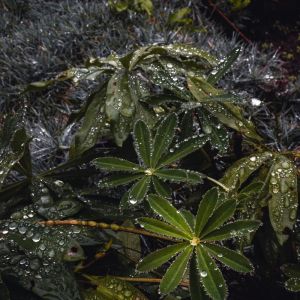 收聽Musica Para Meditacion Profunda的Olas de la Naturaleza歌詞歌曲