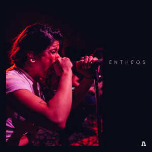 Dengarkan lagu The World Without Us (Audiotree Live Version) nyanyian Entheos dengan lirik