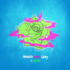 default album img