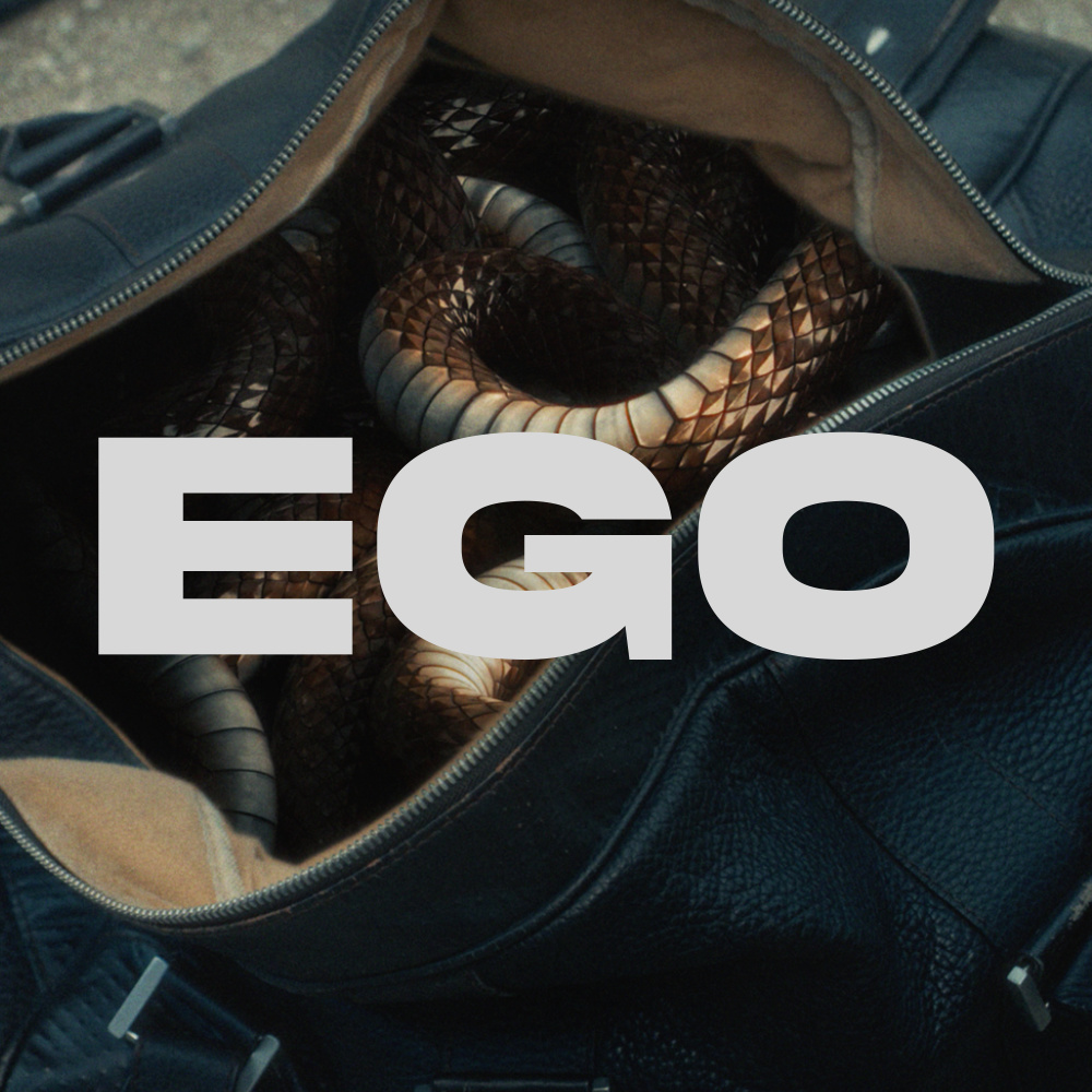 Ego (Explicit)