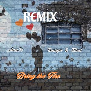 Bring The Fire (feat. Tamiga & 2Bad) [Remix]