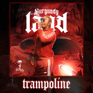 收聽Paradise Beta的Trampoline (Explicit)歌詞歌曲
