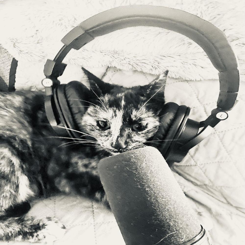 mitsy's matrix
