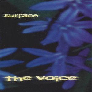 ดาวน์โหลดและฟังเพลง Fall Song พร้อมเนื้อเพลงจาก The Voice