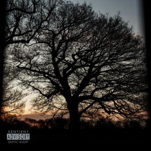 收聽Deeq的Brick Statue (feat. Jaroo) (Explicit)歌詞歌曲