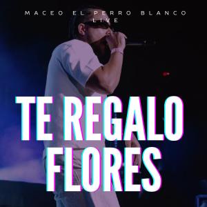 收聽maceo el perro blanco live的te regalo flores (live)歌詞歌曲