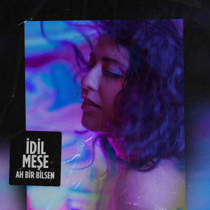 Listen to Ah Bir Bilsen song with lyrics from Idil Mese