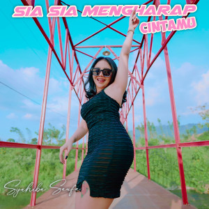 Dengarkan Sia Sia Mengarap Cintamu lagu dari Syahiba Saufa dengan lirik
