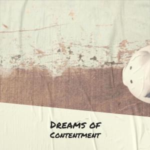 Album Dreams of Contentment oleh Silvia Natiello-Spiller