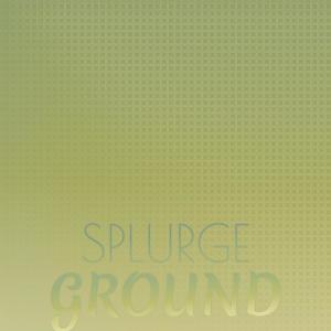 Album Splurge Ground oleh Various Artists