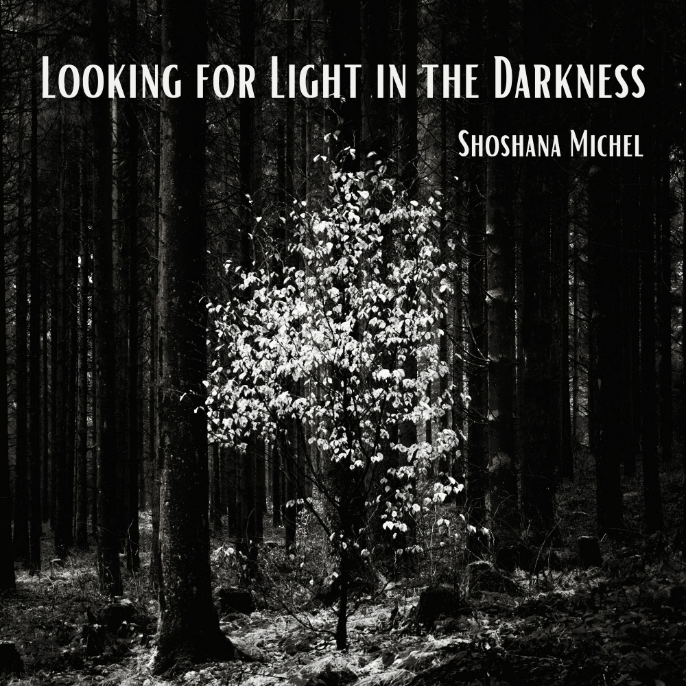 Looking for Light in the Darkness