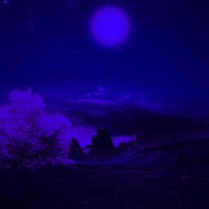 收聽slewy的fever dream歌詞歌曲